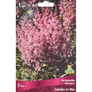 Корневище астильба Арендса Смайл эт ми красный 82693436 STLM-2052931