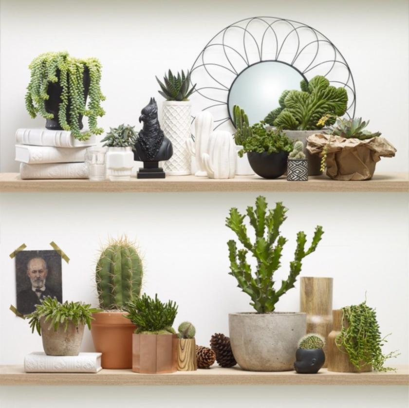 Koziel Однополосные обои sun-id-1496788 - Вид №4