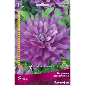 Георгина декоративная Блутифул луковица I 83593736 STLM-2176661