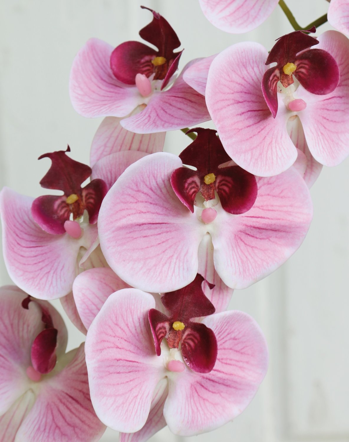 2853 510 a3 Искусственная орхидея Phalaenopsis, 106 см, real touch soft, роза H-andreas  - Вид №3