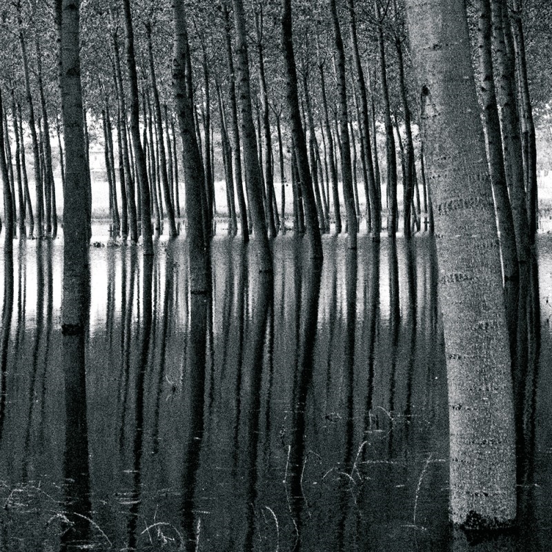 0270/CX38 Набор из 3 прозрачных коробок с перьями Adriani e Rossi Прозрачный и перья  - Вид №1