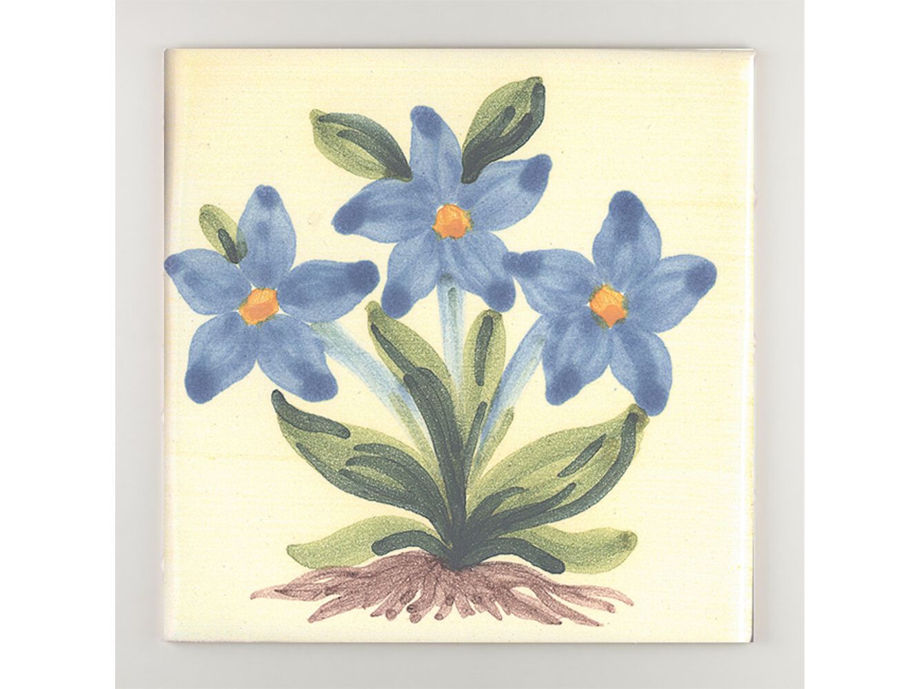 Пол / покрытие ручной работы La Riggiola традиция ARCH-00039044