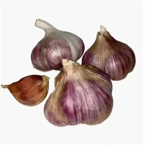 Луковицы чеснока озимого Донской 0.5 кг 89435538