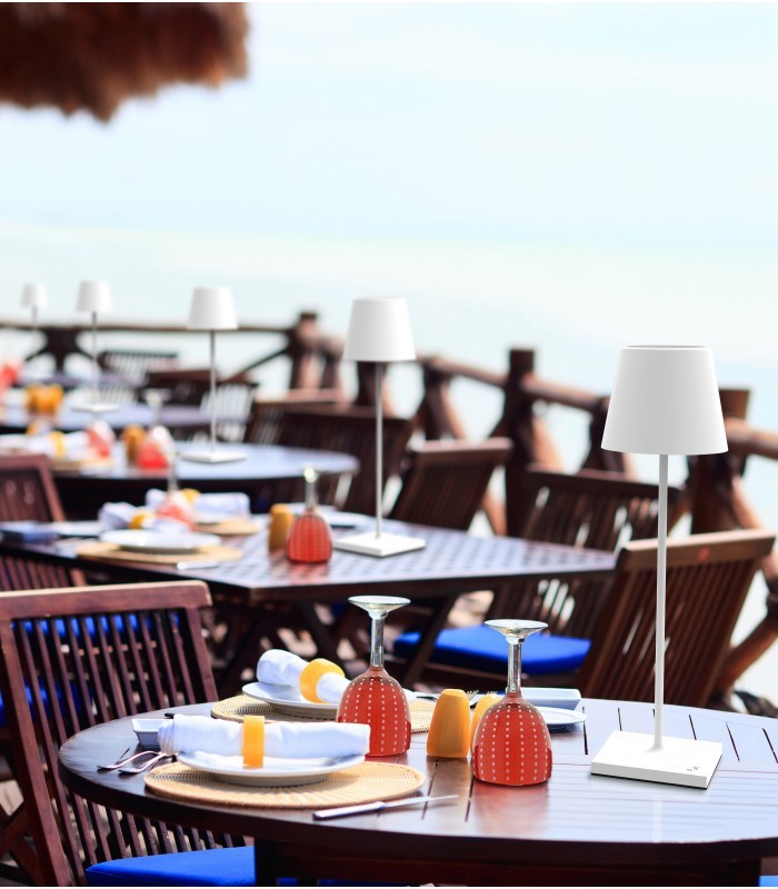 Zafferano POLDINA LD0280R3 TABLE LAMP CORTEN светильник декоративный 117149 - Вид №1