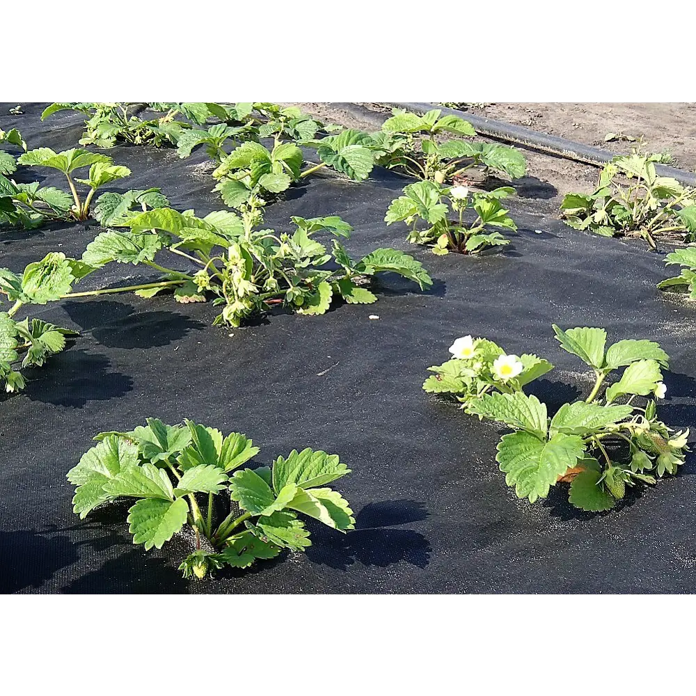Santreyd: Спанбонд черный для защиты грядок 3.2x40 м 82806599 STLM-0036253 - Вид №2