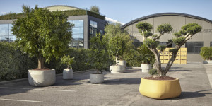 ST-195 igiganti Меблировка Antoniolupi 