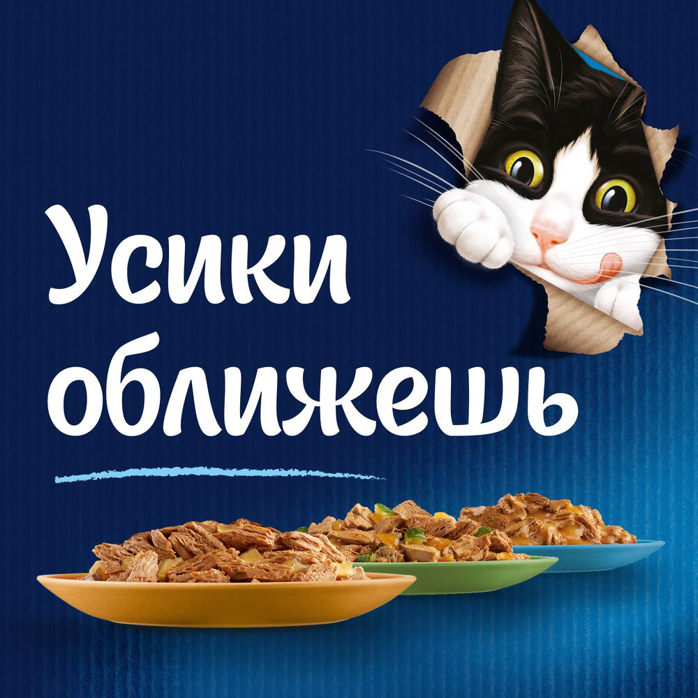 ПР0013786 Корм для кошек Аппетитные кусочки с курицей и томатами в желе, пауч 85 г FELIX  - Вид №2