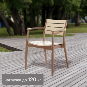 Кресло Novussi Regnum 82x58 см пластик цвет кофейный/капучино 84850881 STLM-2147547