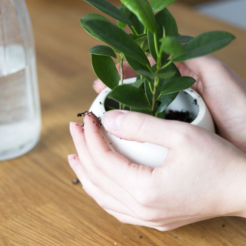 STM-3-01 Кашпо Экочеловеки  - Вид №5