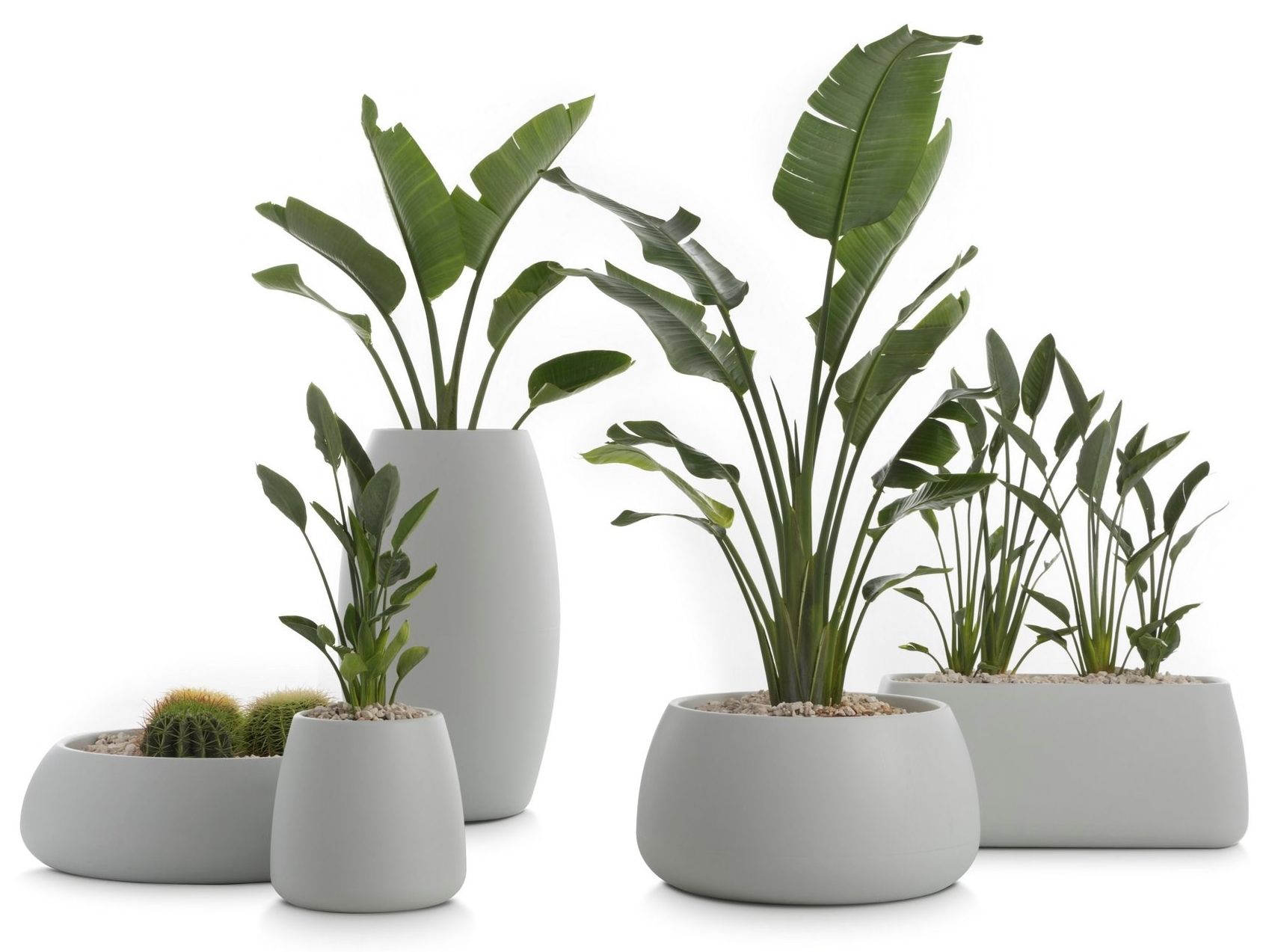 Прямоугольная плантатор Diabla ARCH-00112385 - Вид №7