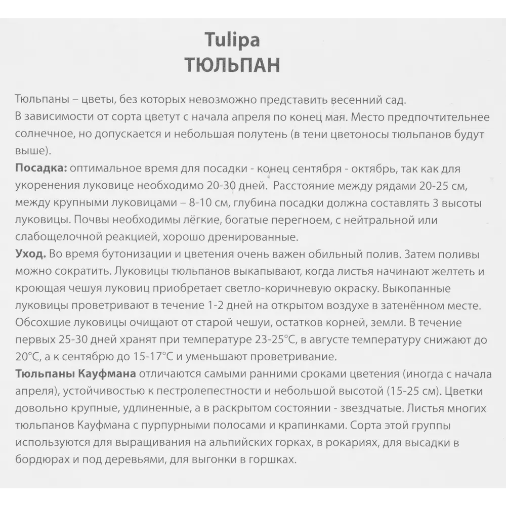 Тюльпан Кауфмана Джузеппе Верди, 10 шт 85205562 STLM-2120499 ПОИСК  - Вид №2