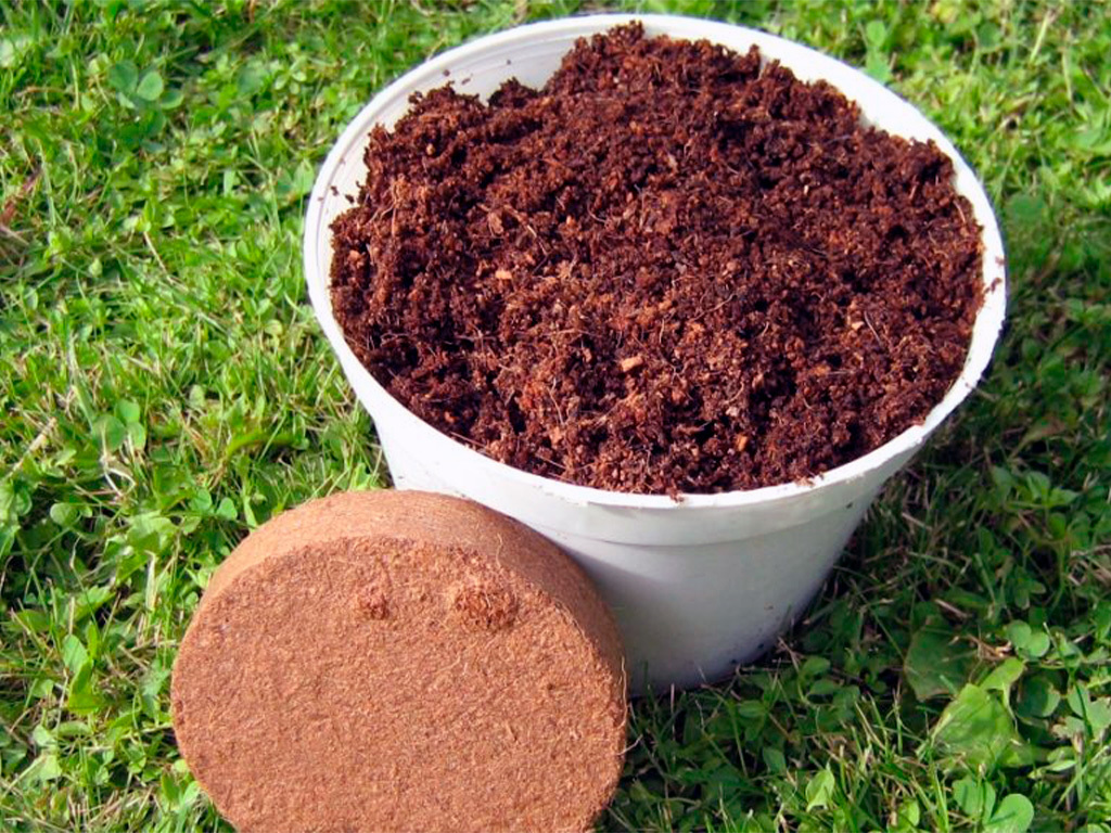 Кокосовый диск Орехнин, 5 дисков 100 мм, 7 литров ГеоПластБорд GPBST-241 - Вид №2