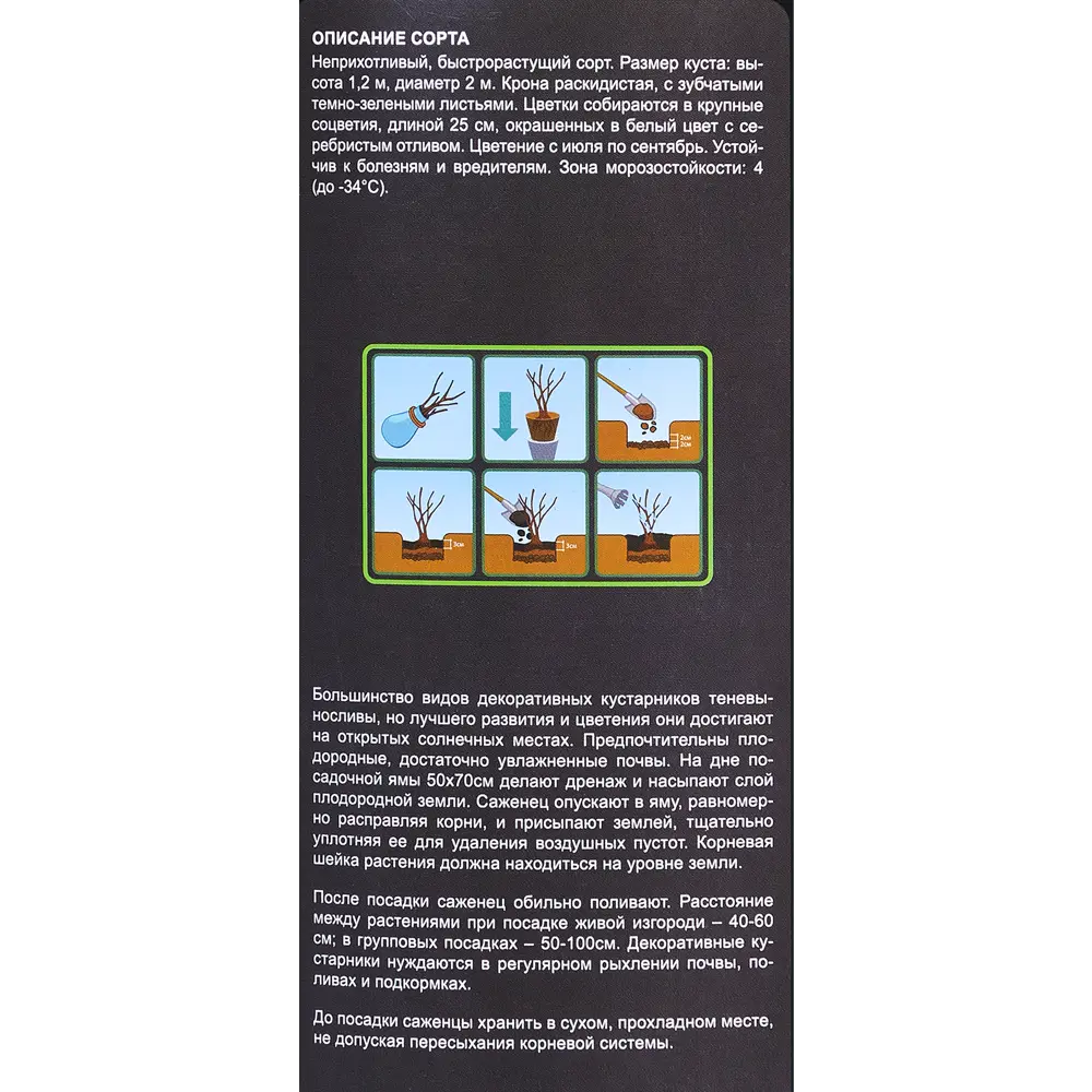 Гортензия метельчатая Сильвер Доллар 84014198 STLM-2184237 Santreyd  - Вид №2