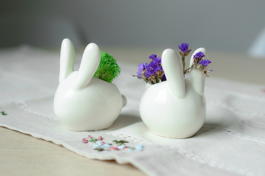 Набор для выращивания Eco "Зайчик" ЭКОЧЕЛОВЕКИ ECZ101 - Вид №1