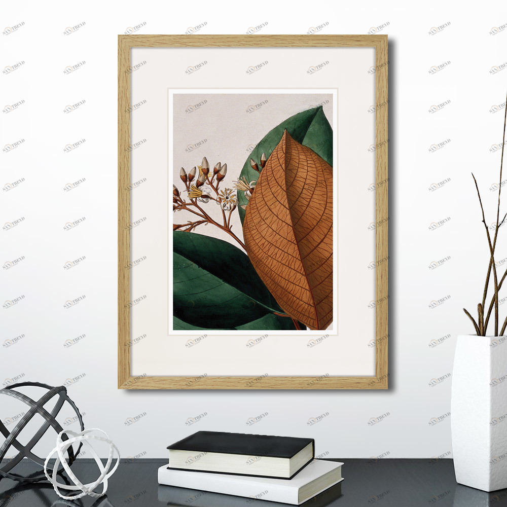 Картина: Exotic plants of the world №14, 1815г. КАРТИНЫ В КВАРТИРУ  264345 Разноцветный 