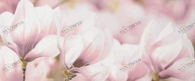 Rapsodia violet 01 25х60 Gracia Ceramica 010301001712