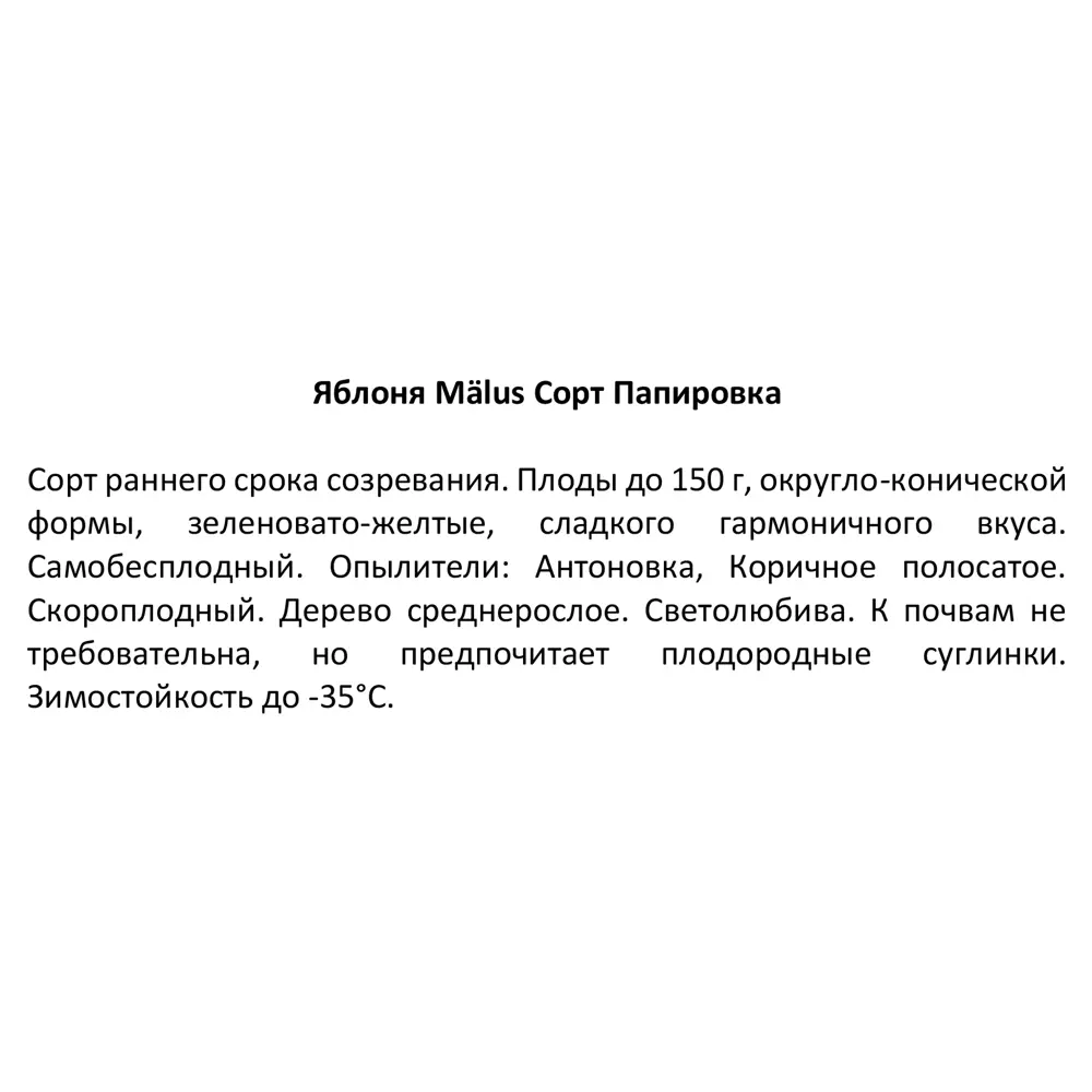 Яблоня Папировка ø20 h140 см 85608228 STLM-2163767 Santreyd  - Вид №2