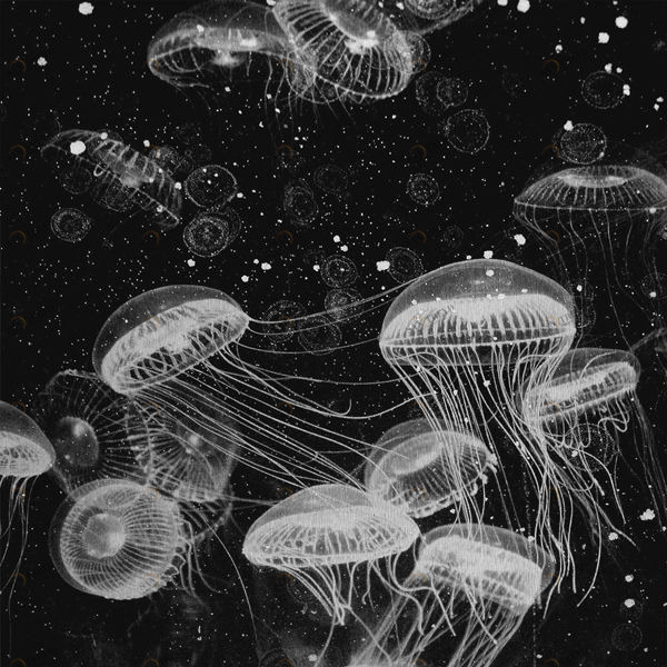 Арт-панель на холсте Alex Turco Underwater Black Poison BLACKPOISON