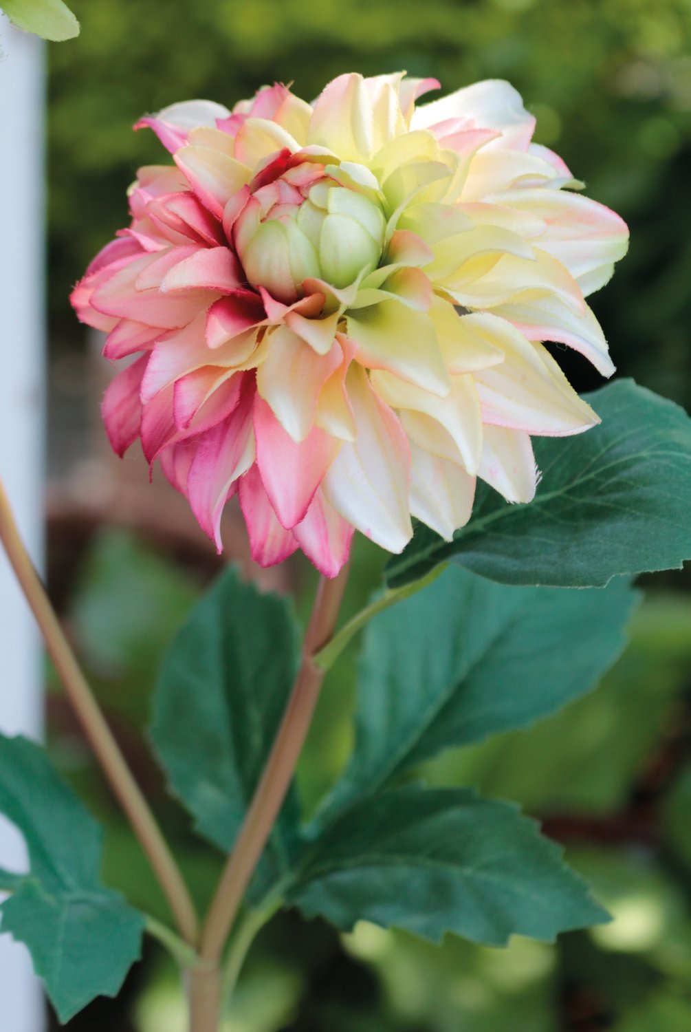 2451 350 a3 Пластиковый георгин, 56 см, желто-розовый H-andreas  - Вид №3