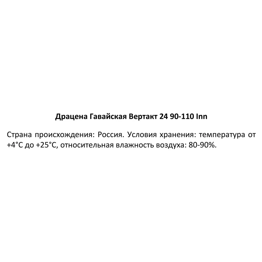 Драцена Гавайская Santreyd ø24 h90-110 см - комнатное растение для озеленения 87819508 STLM-0949714 - Вид №3