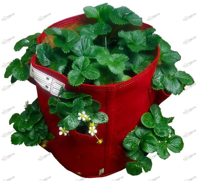 Onek Кашпо для ткани Bloembagz sun-id-1374207