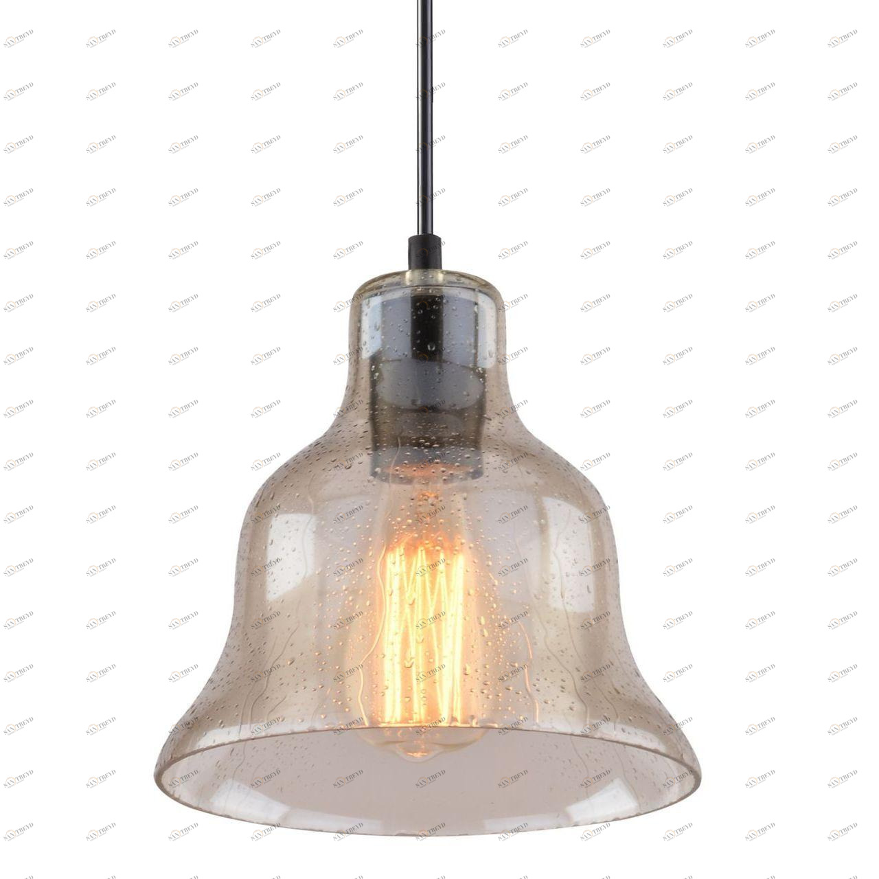 Подвесной светильник Arte Lamp Amiata A4255SP-1AM ARTE LAMP AMIATA 102397 Черный