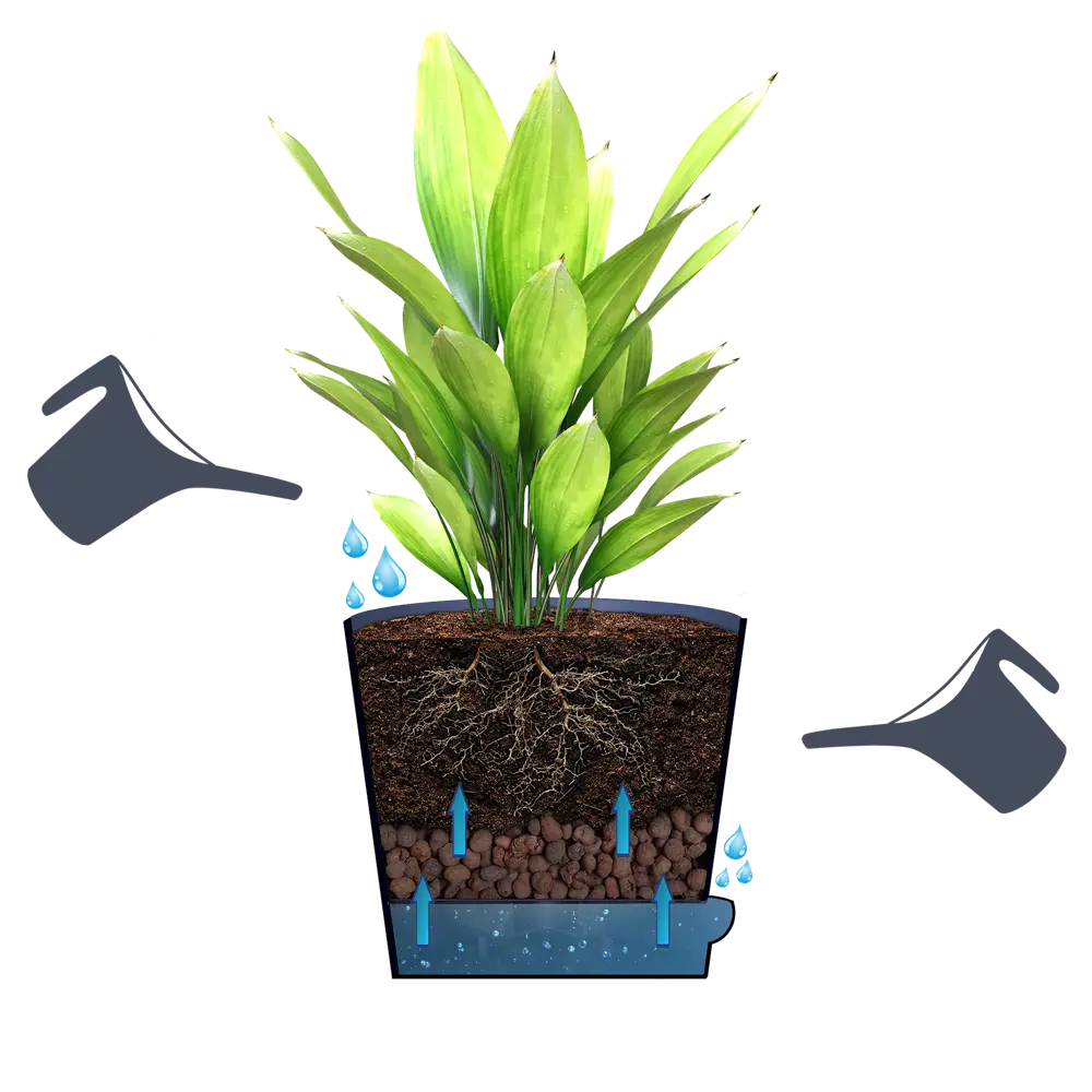 ТЕК.А.ТЕК Прозрачный горшок для орхидей с дренажной системой 2,8 л 18006232 Орхидея партер STLM-0009197 - Вид №3