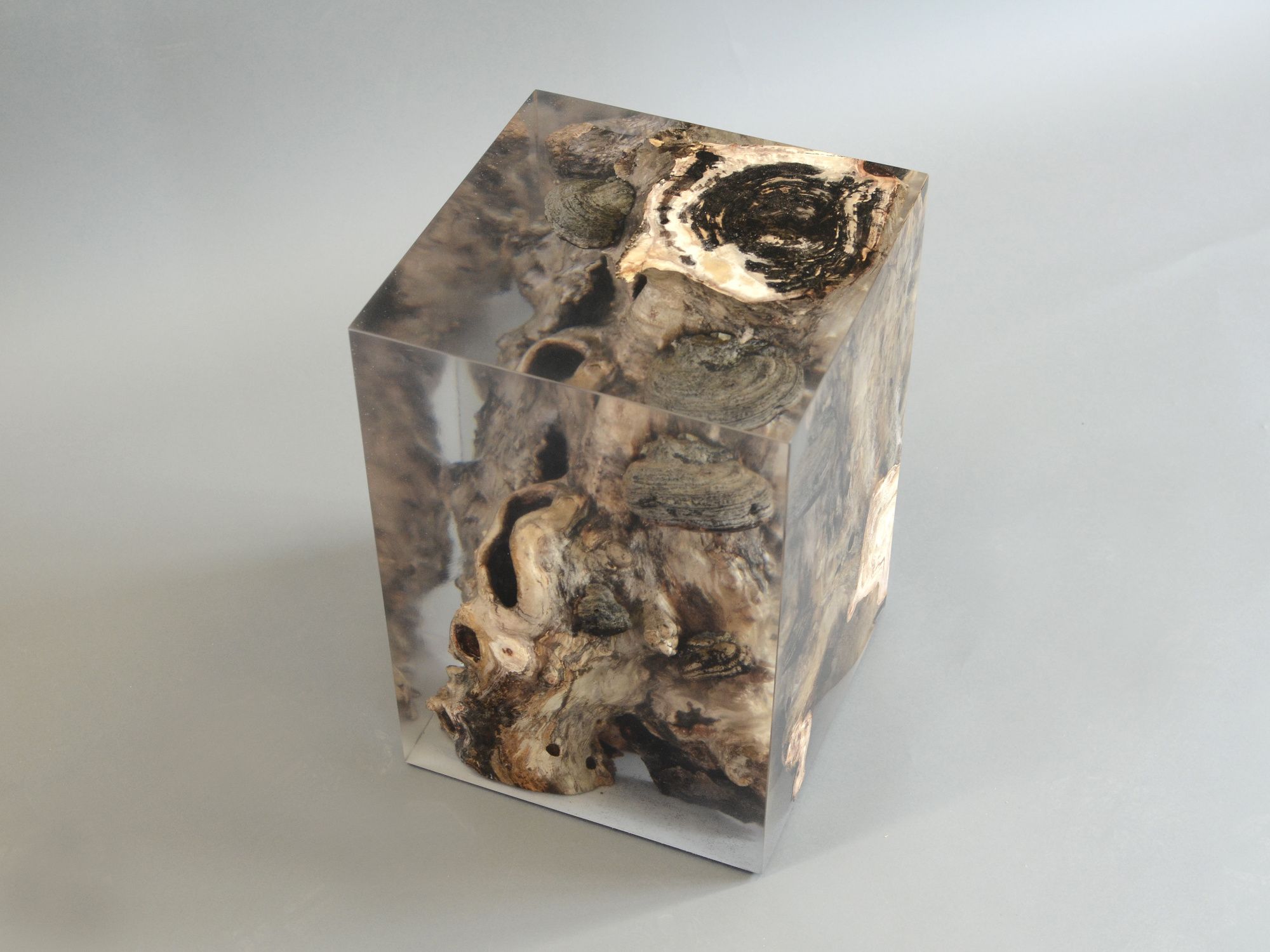 Табурет / журнальный столик alcarol Fungi ARCH-00131901 - Вид №1