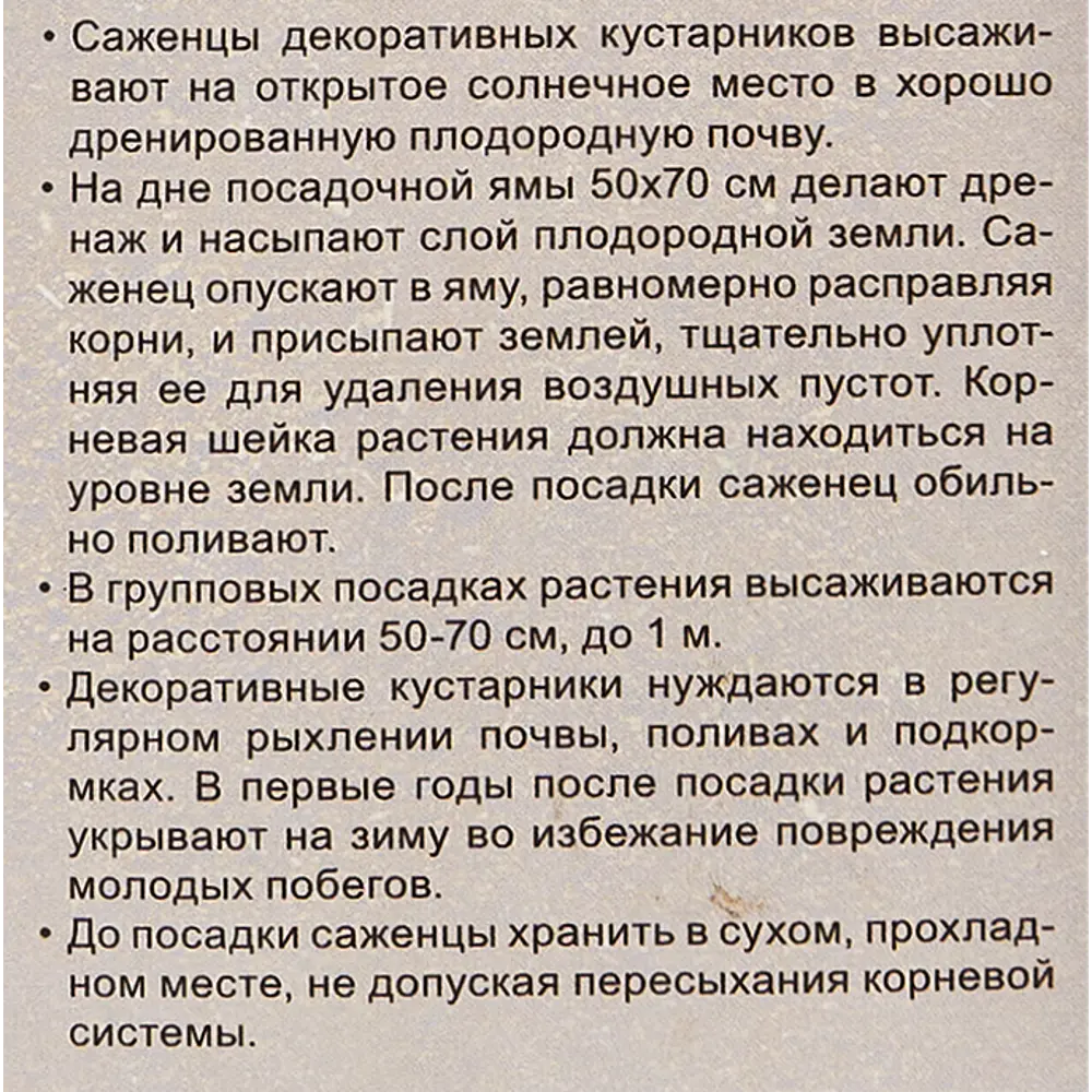 Рододендрон розовый в тубе Цветочный альянс 83761648 STLM-2002206 Santreyd  - Вид №4