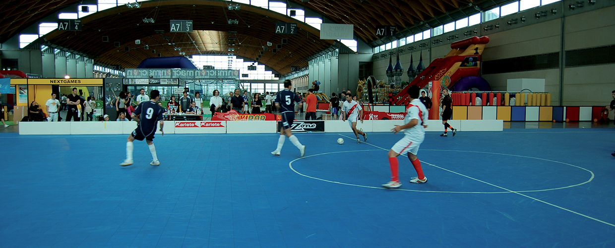 Gripper Indoor Модульная поверхность для занятий спортом в помещении Geoplast  - Вид №1