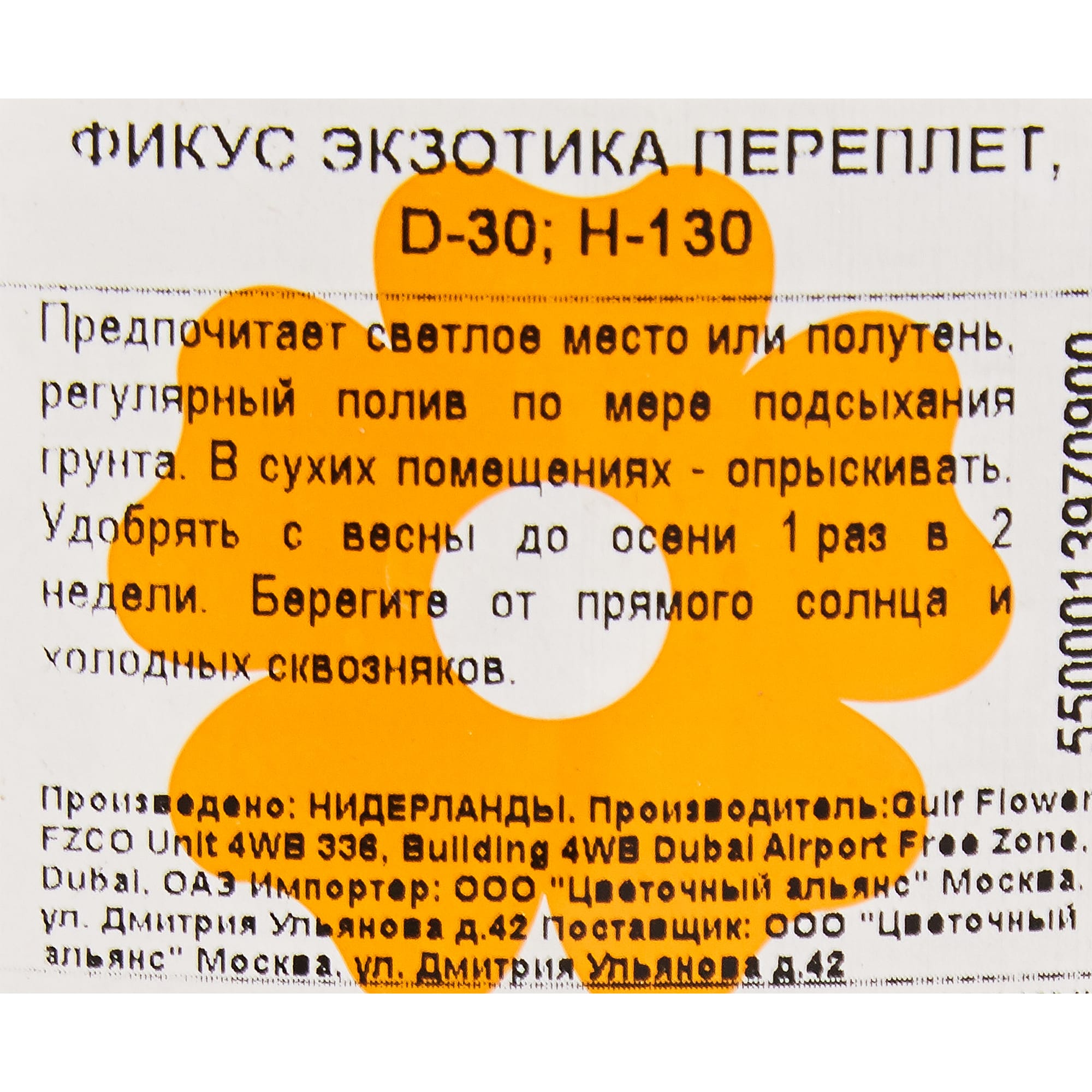 82849686 Фикус "Экзотика переплет" 30х130 см Santreyd  - Вид №2