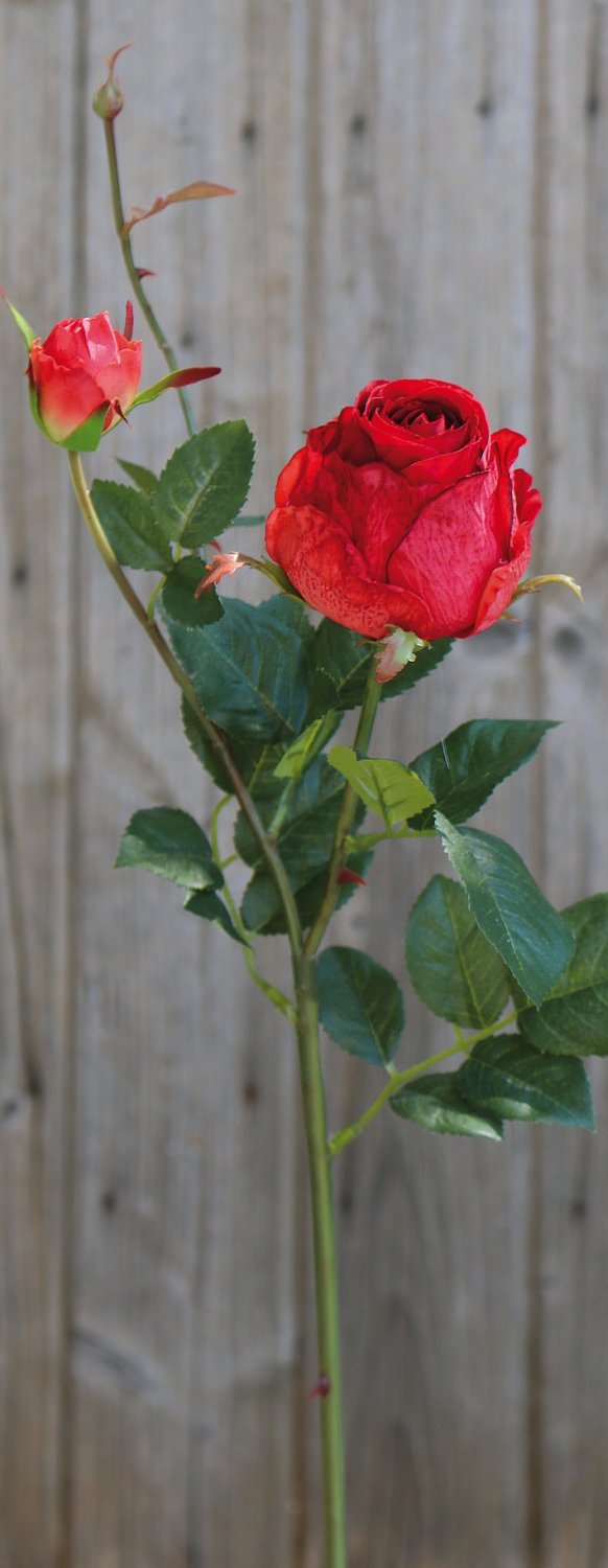 2628 444 a3 Искусственная роза, 1 цветок, 1 бутон, 80 см, красная H-andreas  - Вид №5