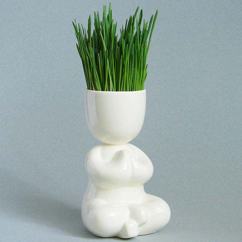 Набор для выращивания eco "Йог" ЭКОЧЕЛОВЕКИ  254571 Белый  - Вид №8