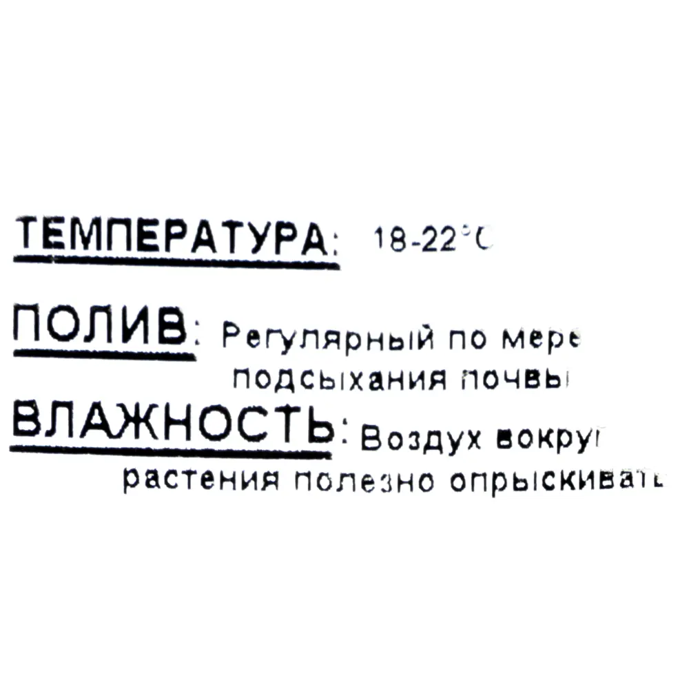 Гербера садовая, диаметр 19 см 81981018 STLM-2013203 Santreyd  - Вид №1
