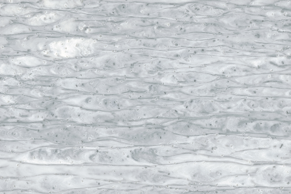 Столешницы для кухни - Помпео LIGRON LIST217 1817