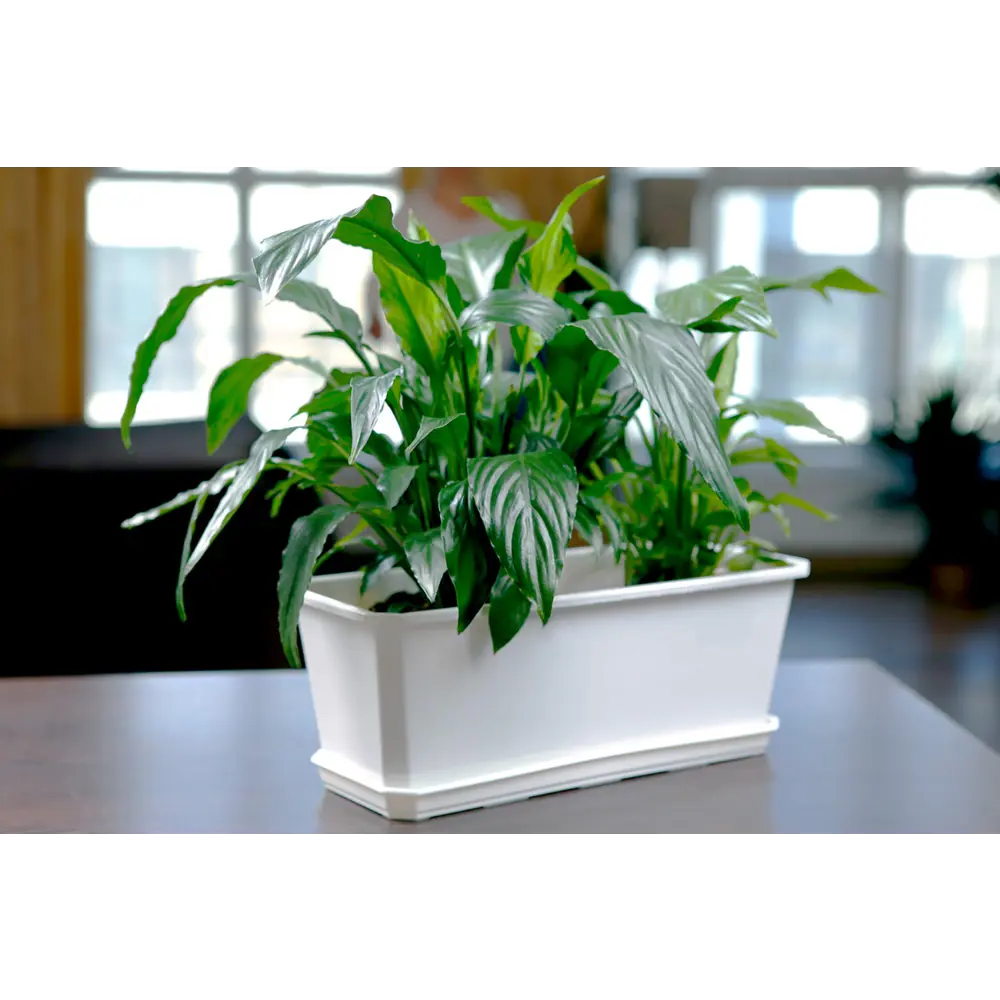 Балконный ящик Santreyd мраморный для цветов 40×17×15 см 12973408 ЛЦ STLM-0002609 - Вид №6