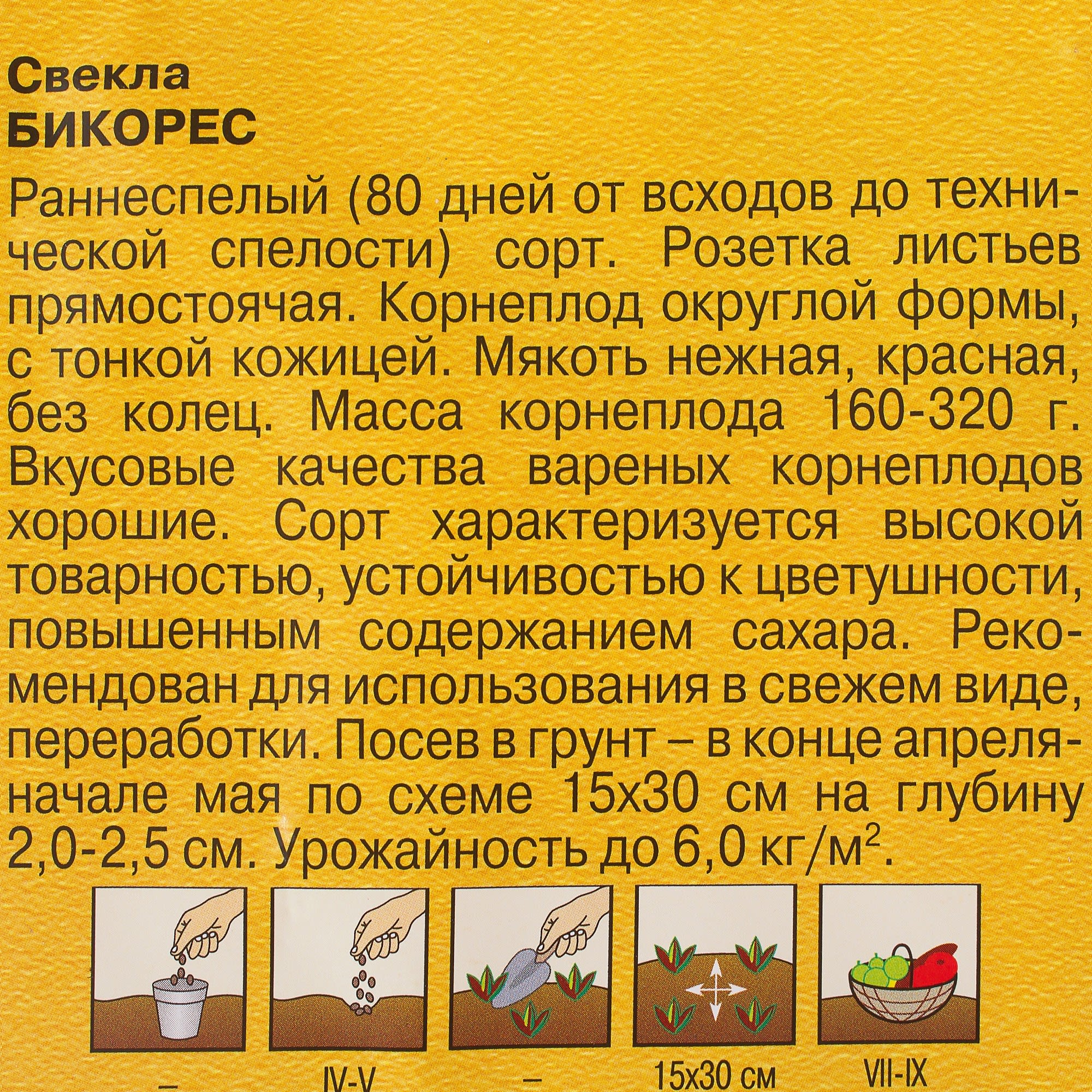 81933350 Семена Свёкла «Бикорес» 1 г, (Голландия) Santreyd  - Вид №2