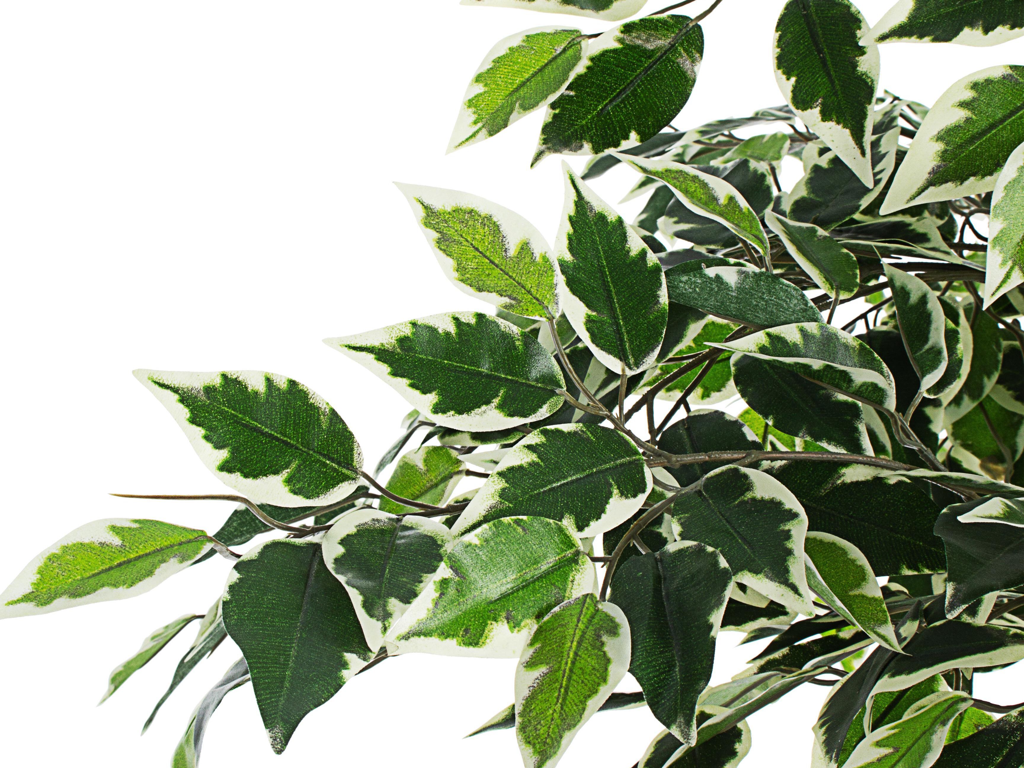 Искусственное растение BIZZOTTO FICUS VARIEGATO ARCH-00027108