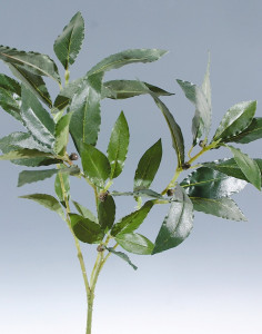 6876 883 a2 Искусственный лавровый спрей, 47см, зеленый H-andreas 