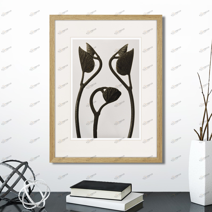 Картина: Botanical philosophy of forms №3, 1912г. КАРТИНЫ В КВАРТИРУ  264877 Разноцветный 