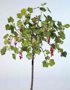 5123 444 a3 Искусственный куст смородины, 122 см, красный H-andreas 