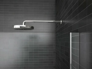 DISENIA Настенная лейка для душа из стали Walk-in