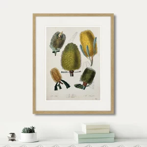 Картина в раме 52х42 см Exotic plants of the world №1, 1815г. КАРТИНЫ В КВАРТИРУ  264349 Зеленый;коричневый;разноцветный