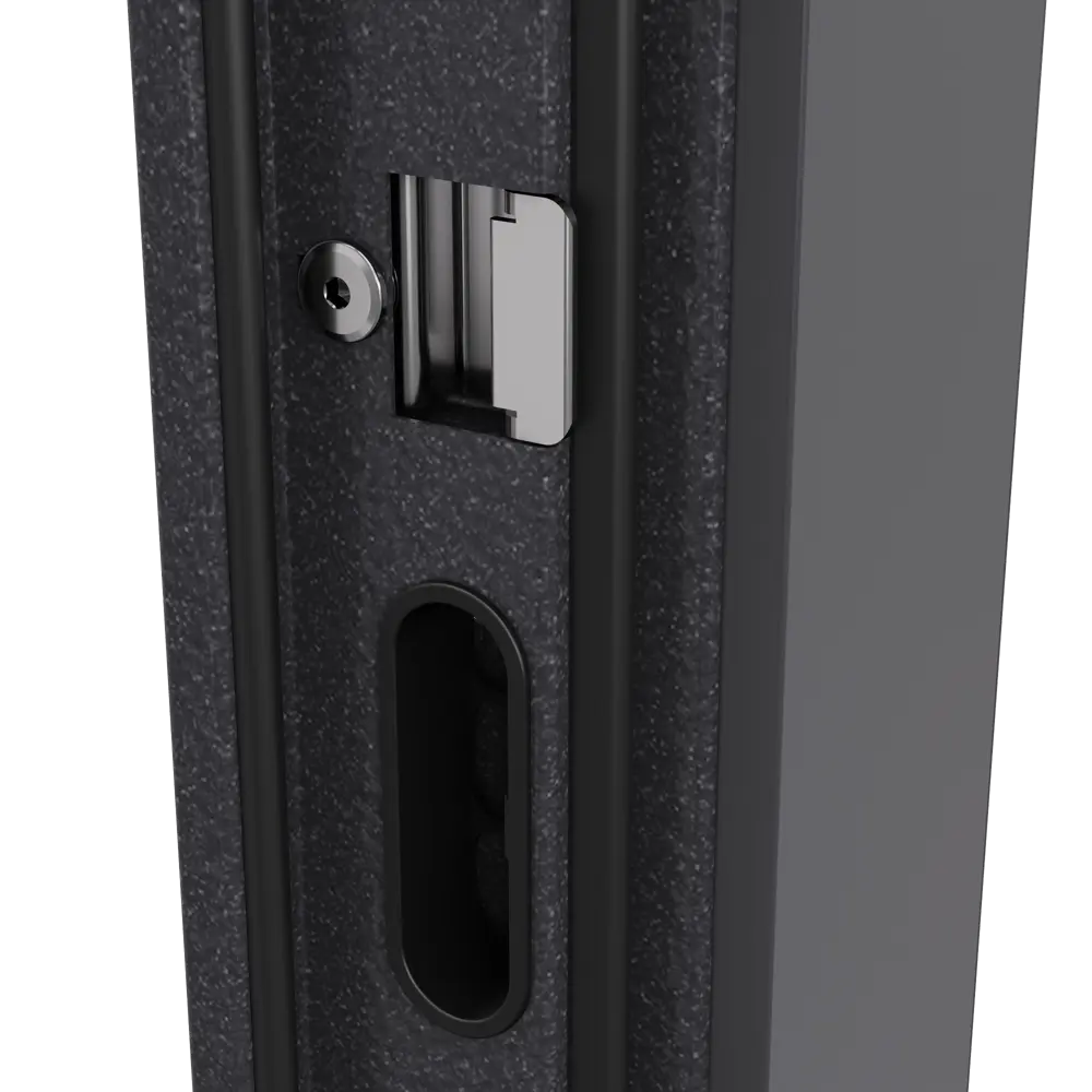 Дверь входная металлическая Гибсон 95x205 см левая скай беленый с зеркалом TOREX STLM-2202041 - Вид №7