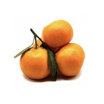 Мандарины Абхазия Santreyd 1892 - Вид №1