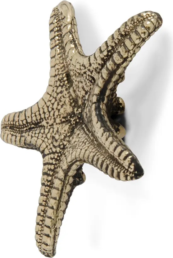 OC2012 Linckia PULLCAST Ocean Collection  - Вид №2