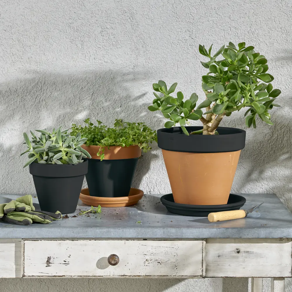 Аэрозольная эмаль Luxens глянцевая черная для интерьера и экстерьера 83237377 STLM-0039735 - Вид №5