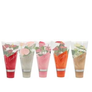 Антуриум микс ø9 h30 см