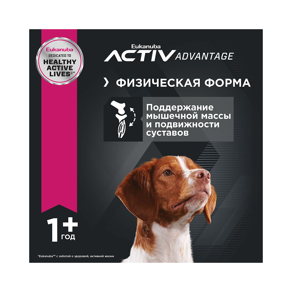 ПР0055338 Корм для собак ягненок, рис сух. 2,5кг Eukanuba  - Вид №4