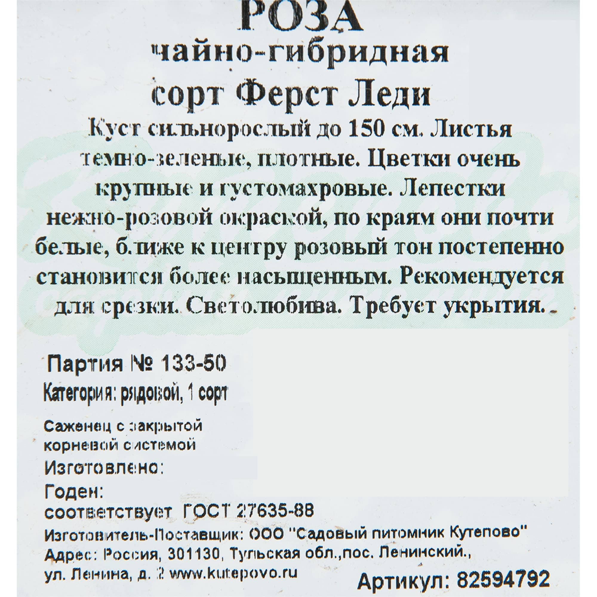 82594792 Роза чайно-гибридная «Ферст Леди» 15x30 см Santreyd  - Вид №1